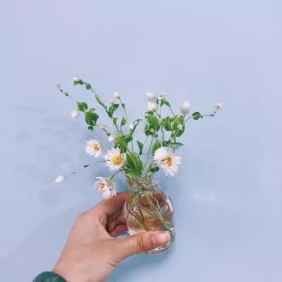 1788网投下载手机版